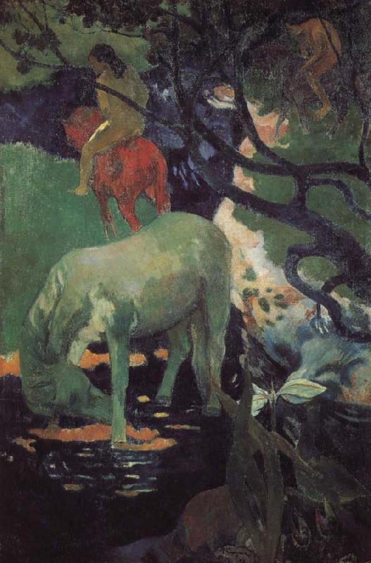 Paul Gauguin Whitehorse France oil painting art